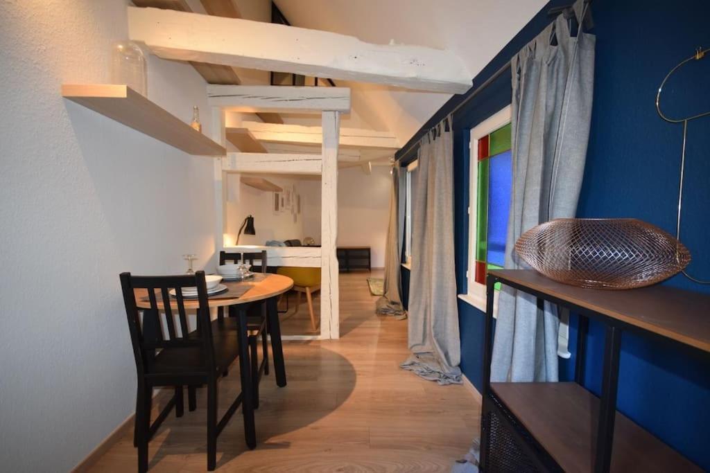 Le Studio Du Quai Des Pecheurs - Charmant Duplex Sur Les Quais 斯特拉斯堡 外观 照片