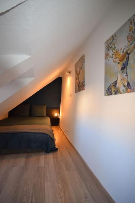 Le Studio Du Quai Des Pecheurs - Charmant Duplex Sur Les Quais 斯特拉斯堡 外观 照片