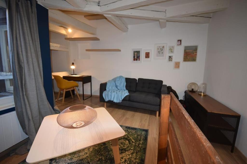 Le Studio Du Quai Des Pecheurs - Charmant Duplex Sur Les Quais 斯特拉斯堡 外观 照片