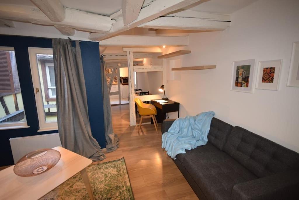 Le Studio Du Quai Des Pecheurs - Charmant Duplex Sur Les Quais 斯特拉斯堡 外观 照片