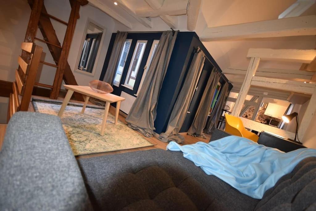 Le Studio Du Quai Des Pecheurs - Charmant Duplex Sur Les Quais 斯特拉斯堡 外观 照片