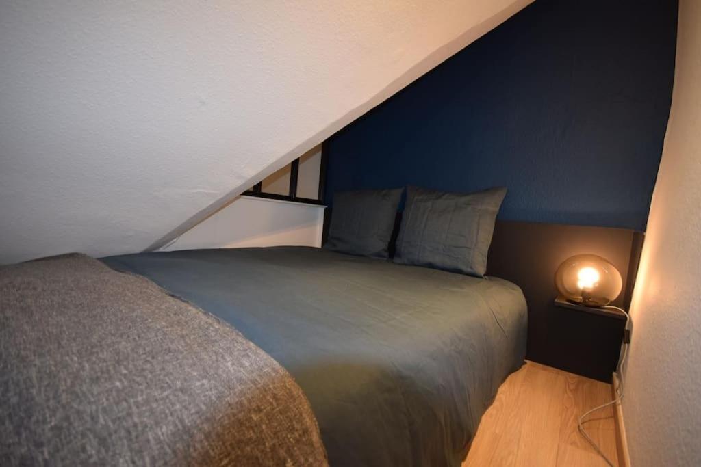 Le Studio Du Quai Des Pecheurs - Charmant Duplex Sur Les Quais 斯特拉斯堡 外观 照片